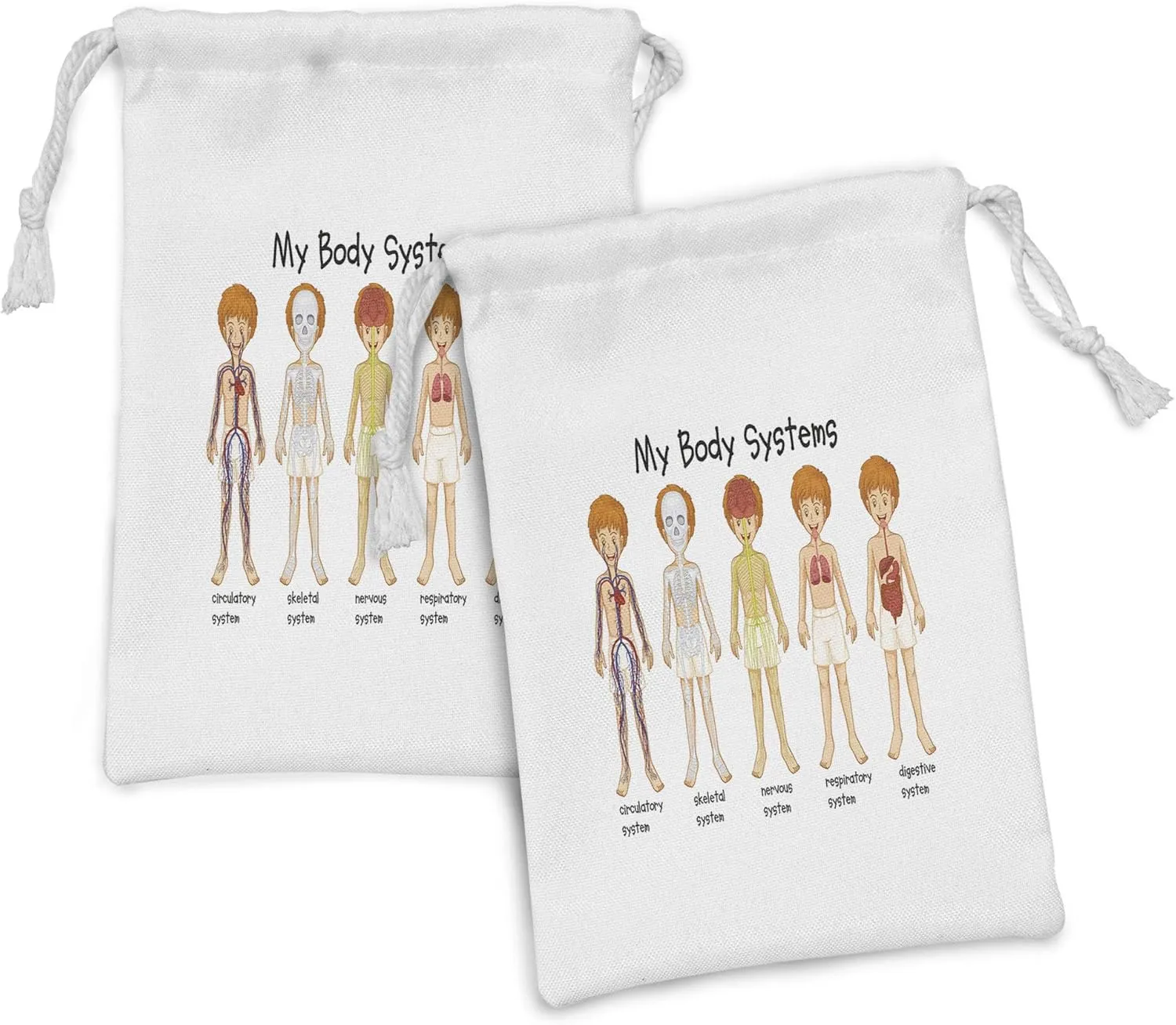 Ambesonne Science Fabric Pouch Set of 2, Different Systems in Human Nervous Skeletal Digestive Body Anatomy Young, Small Drawstring Bag for Toiletries Masks and Favors, 9" x 6", Multicolor