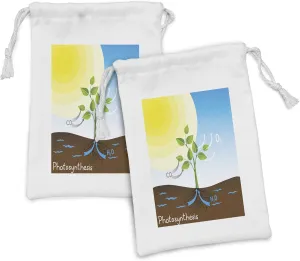 Ambesonne Science Fabric Pouch Set of 2, Simple Photosynthesis Scheme Plant Sun Molecules Chemical Chain Growth Ecology, Small Drawstring Bag for Toiletries Masks and Favors, 9" x 6", Multicolor