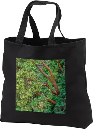 Black Tote Bag JUMBO 20w x 15h x 5d - Washington, San Juan Island, English Camp, Pacific madrone trees. Forests