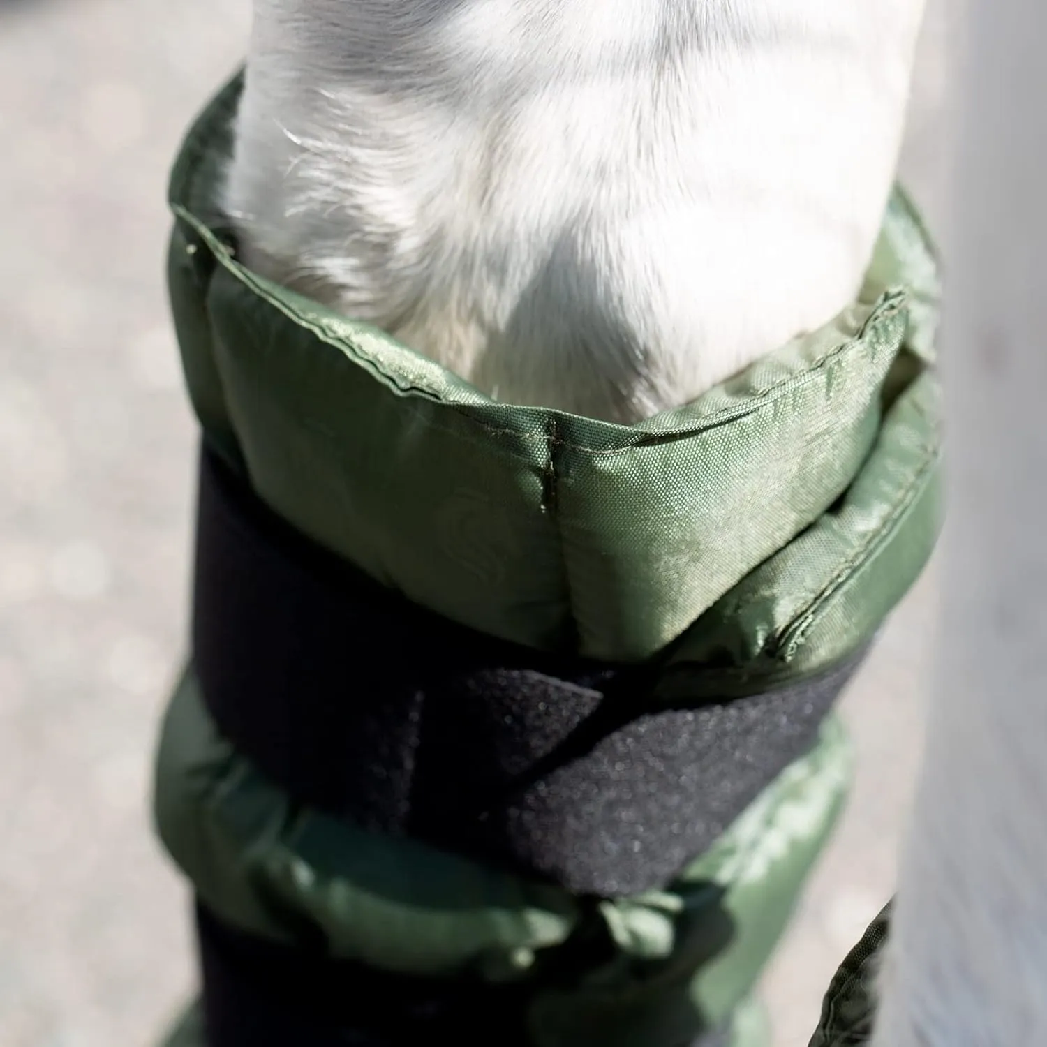 Equinavia Cool Relief Therapy Ice Boots Leg Wraps Pair for Horses, Gel Pack with Adjustable Straps | 16.5" x 15.5" with Storage Bag - Green - Pair - One Size