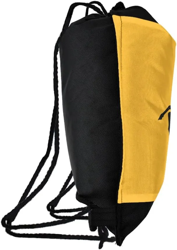 LOGOVISION Game of Thrones Baratheon Sigil Drawstring Backpack Sports Bag Sackpack 17" x 13", Perfect for Gym, Yoga or Practice